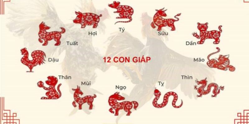 Hướng dẫn Coi Ngày Đá Gà theo 12 con giáp của năm